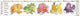 Book cover of: Rainbow Food Activity Chart