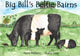 Book cover of: Big Bill's Beltie Bairns. By: Jayne Baldwin