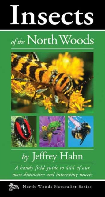 Book cover of: Insects of the North Woods