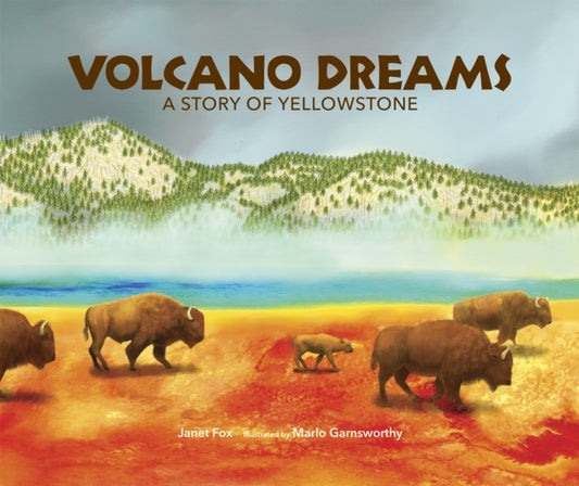 Book cover of: Volcano Dreams. By: Janet S. Fox