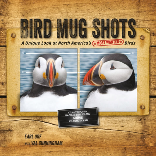 Book cover of: Bird Mug Shots. By: Earl Orf