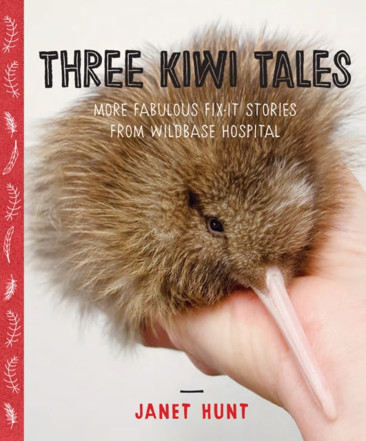 Book cover of: Three Kiwi Tales. By: Janet Hunt