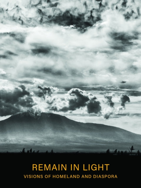 Book cover of: Remain in Light