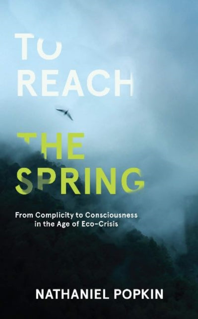 Book cover of: To Reach the Spring. By: Nathaniel Popkin