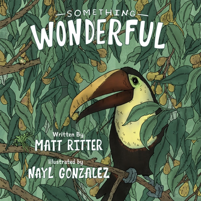 Book cover of: Something Wonderful. By: Matt Ritter