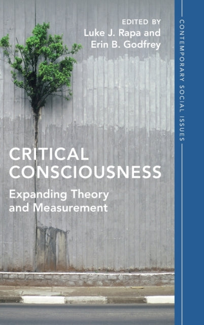 Book cover of: Critical Consciousness. By: Luke J. Rapa