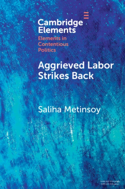 Book cover of: Aggrieved Labor Strikes Back. By: Saliha Metinsoy