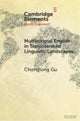 Book cover of: Multiscriptal English in Transliterated Linguistic Landscapes. By: Chonglong Gu