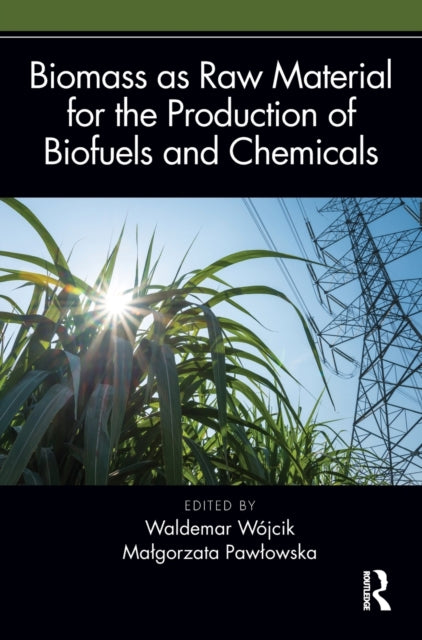 Book cover of: Biomass as Raw Material for the Production of Biofuels and Chemicals. By: Waldemar Wójcik