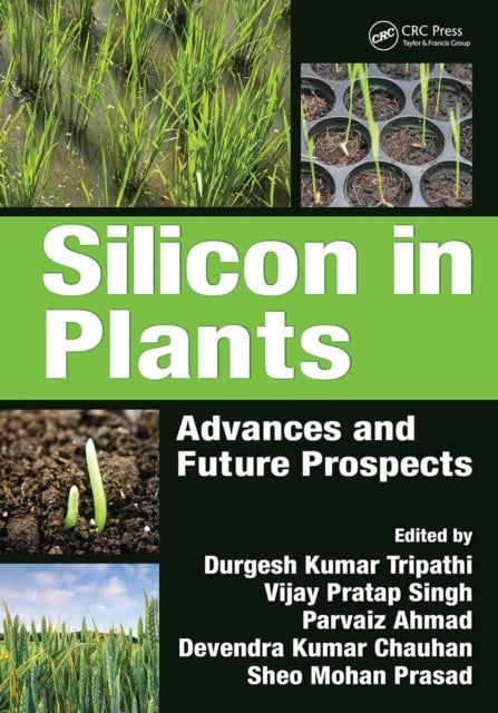 Book cover of: Silicon in Plants. By: Durgesh Kumar Tripathi