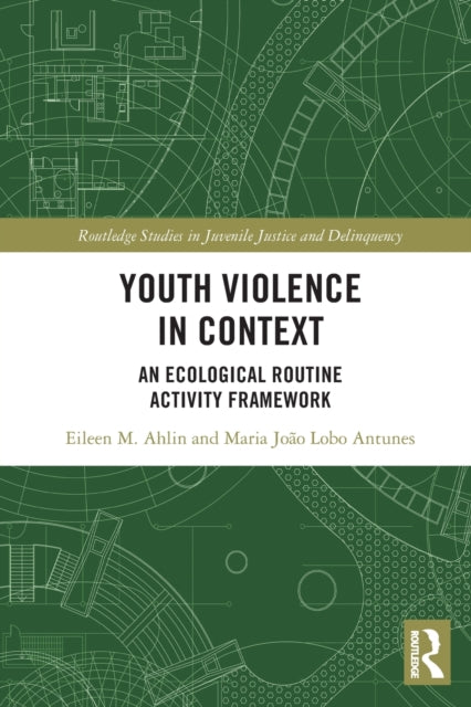 Book cover of: Youth Violence in Context. By: Eileen Ahlin