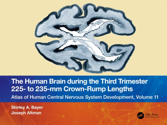Book cover of: Human Brain during the Third Trimester 225– to 235–mm Crown-Rump Lengths. By: Shirley A. Bayer
