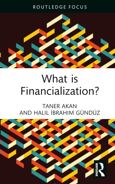 Book cover of: What is Financialization?. By: Taner Akan