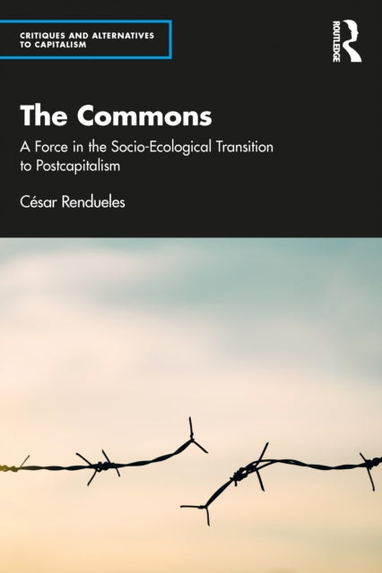 Book cover of: Commons