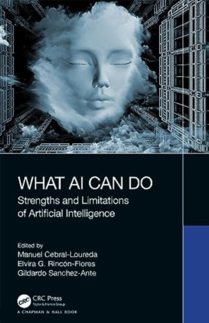 Book cover of: What AI Can Do. By: Manuel Cebral-Loureda