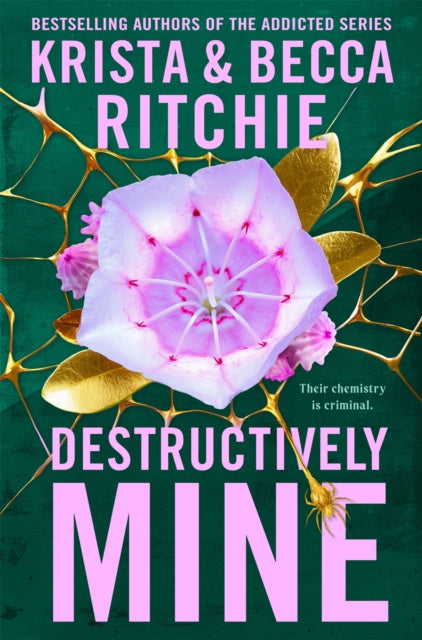 Book cover of: Destructively Mine