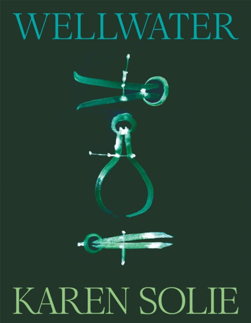 Wellwater 9781035048182 Karen Solie