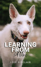 Book cover of: Learning from Albi