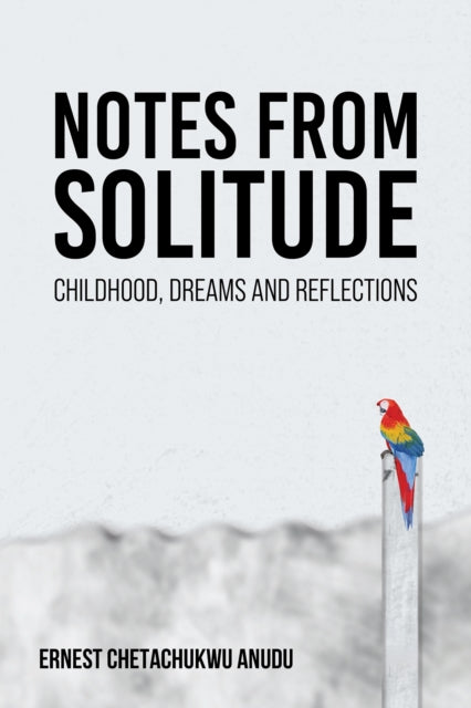 Book cover of: Notes from Solitude