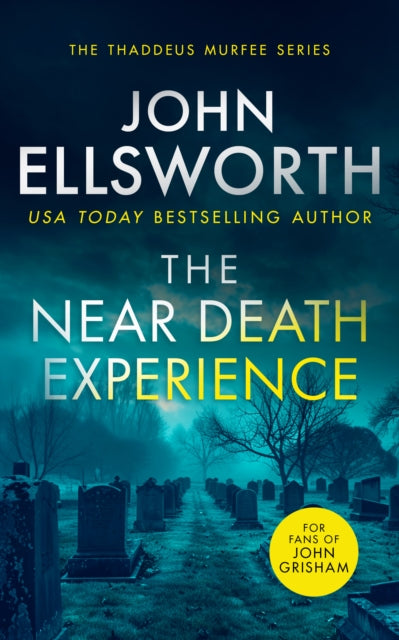 Book cover of: Near Death Experience. By: John Ellsworth