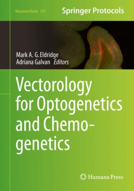 Book cover of: Vectorology for Optogenetics and Chemogenetics. By: Mark Eldridge