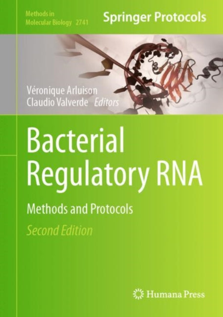 Book cover of: Bacterial Regulatory RNA. By: Véronique Arluison