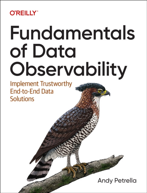 Book cover of: Fundamentals of Data Observability. By: Andy Petrella