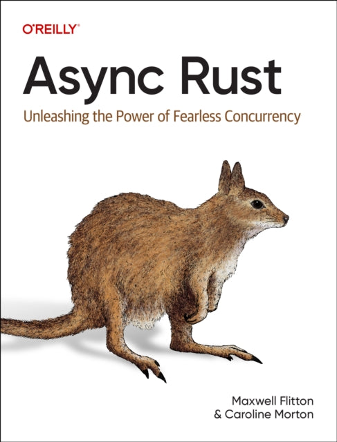 Book cover of: Async Rust. By: Maxwell Flitton
