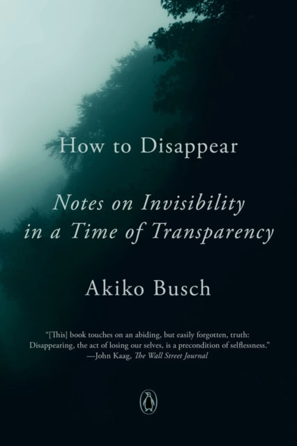 Book cover of: How to Disappear. By: Akiko Busch
