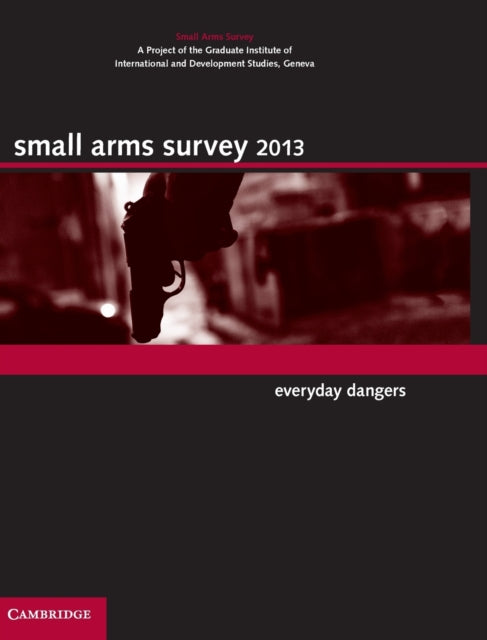 Book cover of: Small Arms Survey 2013
