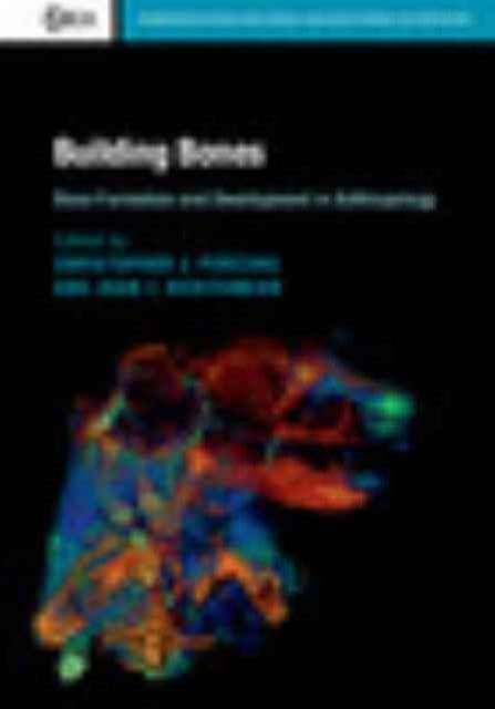 Book cover of: Building Bones: Bone Formation and Development in Anthropology. By: Christopher J. Percival