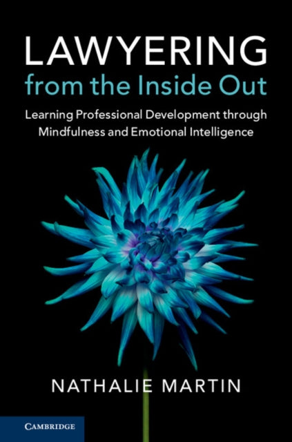 Book cover of: Lawyering from the Inside Out. By: Nathalie Martin