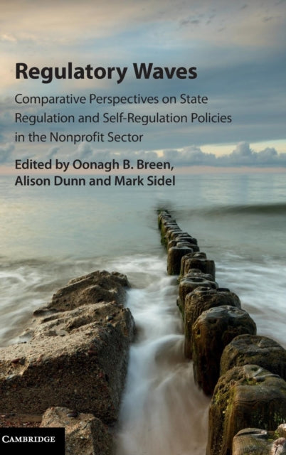 Book cover of: Regulatory Waves. By: Oonagh B. Breen