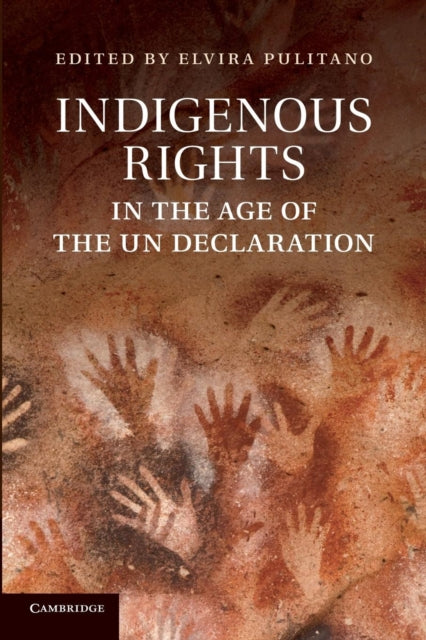 Book cover of: Indigenous Rights in the Age of the UN Declaration. By: Elvira Pulitano