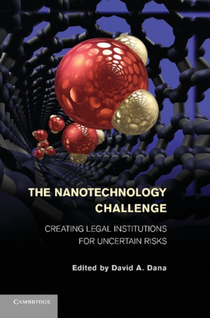 Book cover of: Nanotechnology Challenge. By: David A. Dana