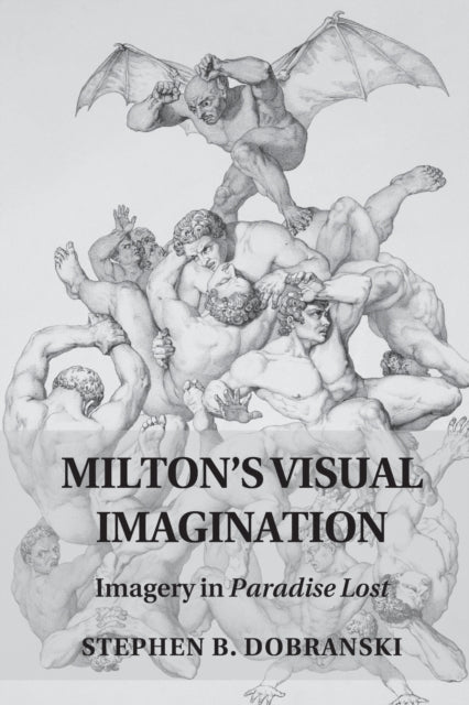 Book cover of: Milton's Visual Imagination. By: Stephen B. Dobranski