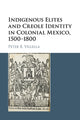 Book cover of: Indigenous Elites and Creole Identity in Colonial Mexico, 1500–1800. By: Peter B. Villella