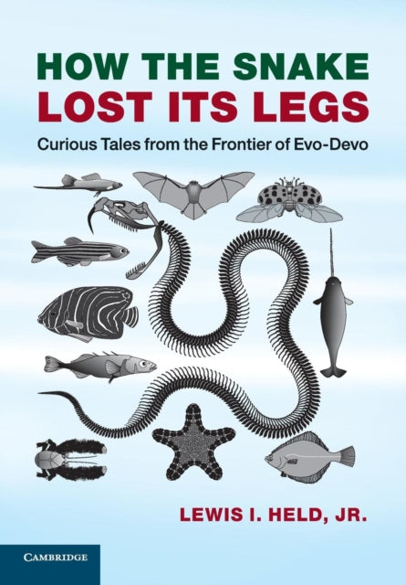 Book cover of: How the Snake Lost its Legs