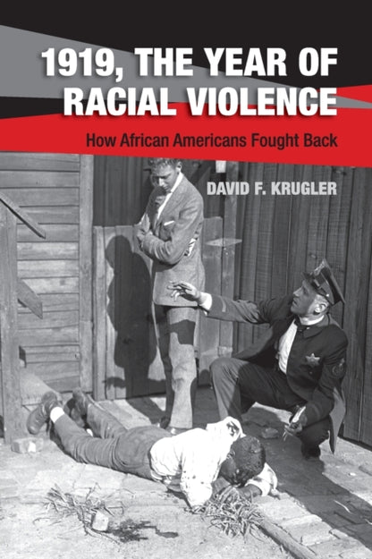 Book cover of: 1919, The Year of Racial Violence. By: David F. Krugler