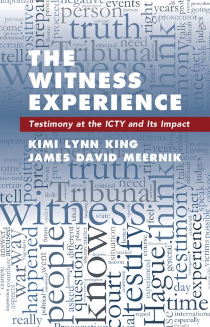 Book cover of: Witness Experience. By: Kimi Lynn King