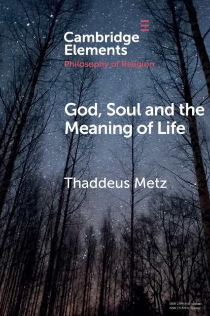 Book cover of: God, Soul and the Meaning of Life. By: Thaddeus Metz