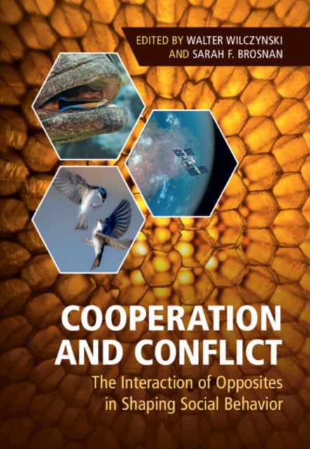 Book cover of: Cooperation and Conflict. By: Walter Wilczynski