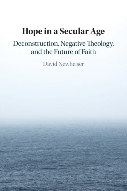 Book cover of: Hope in a Secular Age. By: David Newheiser