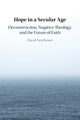 Book cover of: Hope in a Secular Age. By: David Newheiser
