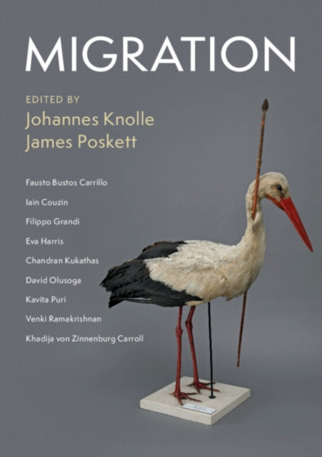 Book cover of: Migration. By: Johannes Knolle