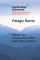 Book cover of: Pelagic Barite. By: Weiqi Yao