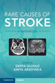 Book cover of: Rare Causes of Stroke. By: Derya Uluduz