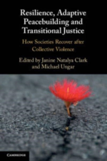 Book cover of: Resilience, Adaptive Peacebuilding and Transitional Justice. By: Janine N. Clark