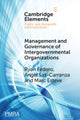 Book cover of: Management and Governance of Intergovernmental Organizations. By: Ryan Federo