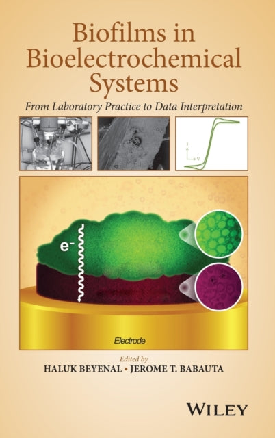 Book cover of: Biofilms in Bioelectrochemical Systems. By: H. Beyenal